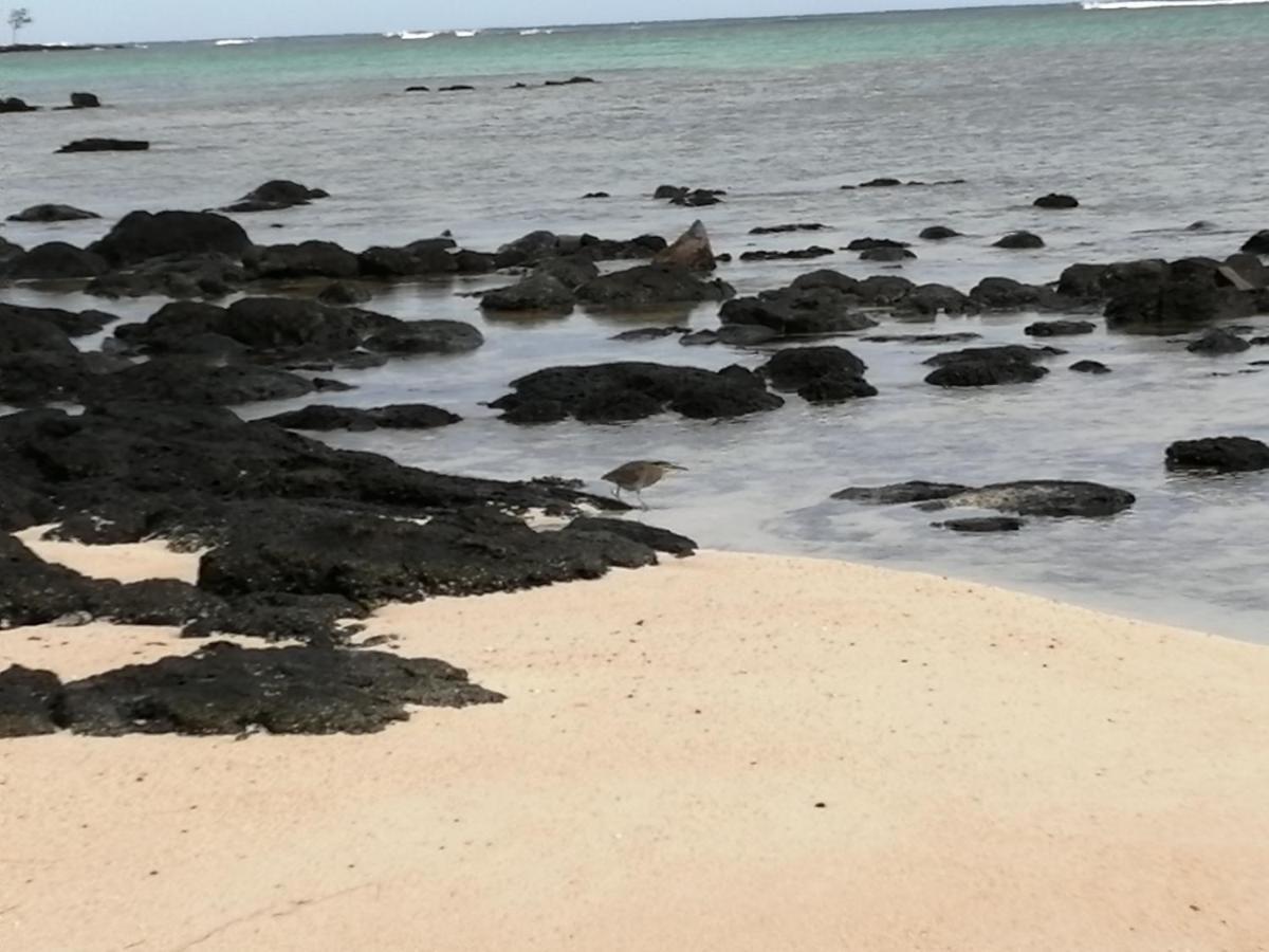 Résidence Les Filaos Pereybere Beach Exterior foto